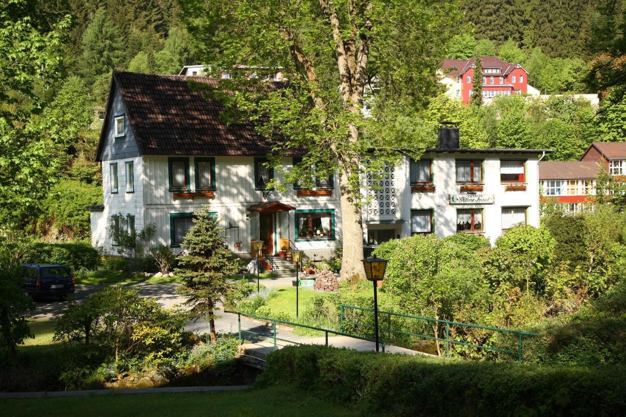 Haus Gruene Insel - Ferienwohnungen Altenau  Eksteriør billede