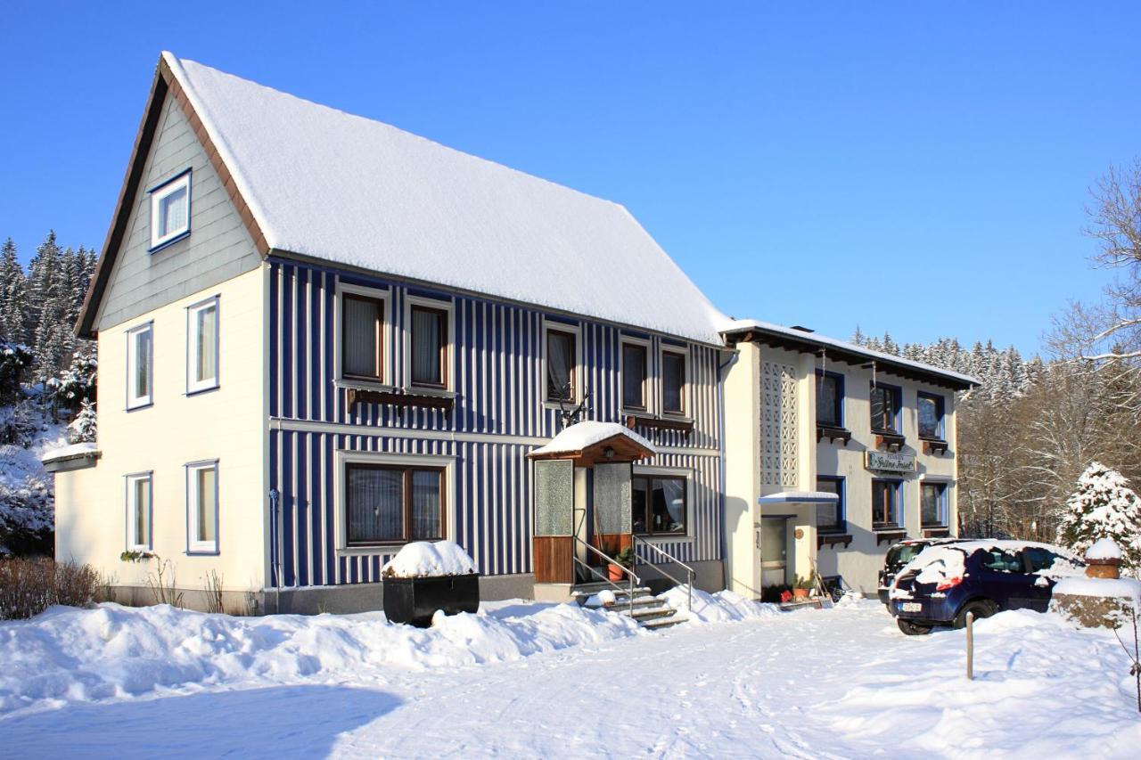 Haus Gruene Insel - Ferienwohnungen Altenau  Eksteriør billede