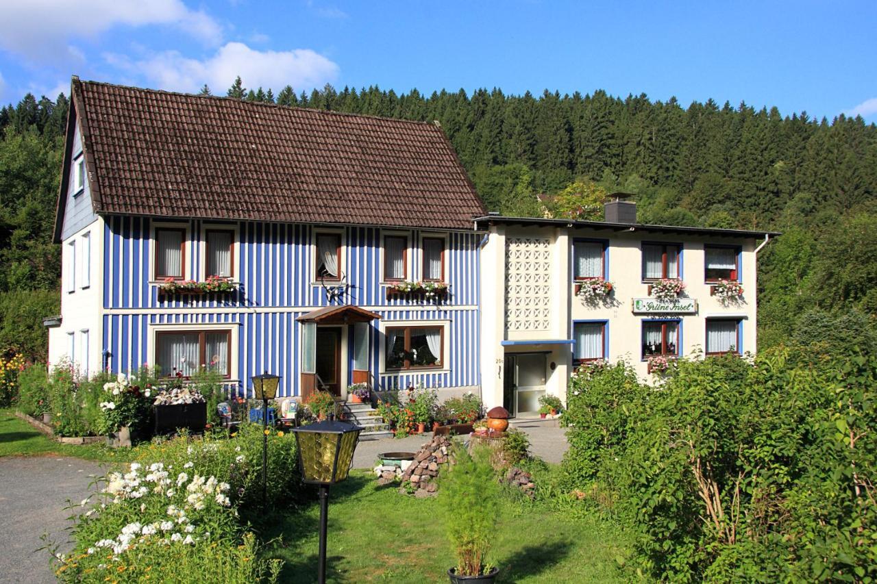 Haus Gruene Insel - Ferienwohnungen Altenau  Eksteriør billede